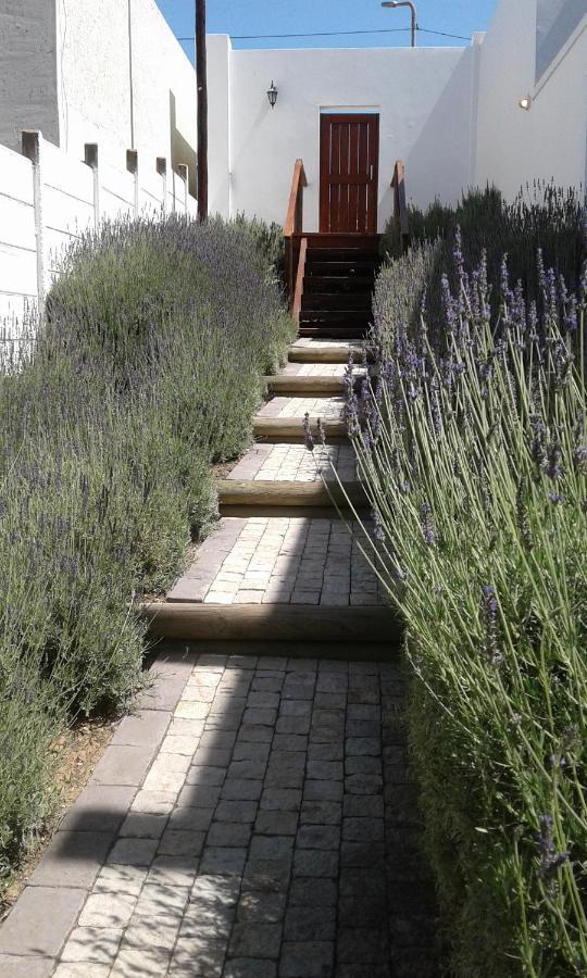 Lavandula Manor Self-Catering Μόσελ Μπέι Εξωτερικό φωτογραφία